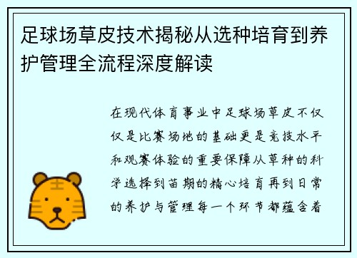 足球场草皮技术揭秘从选种培育到养护管理全流程深度解读 足球场草皮技术揭秘从选种培育到养护管理全流程深度解读